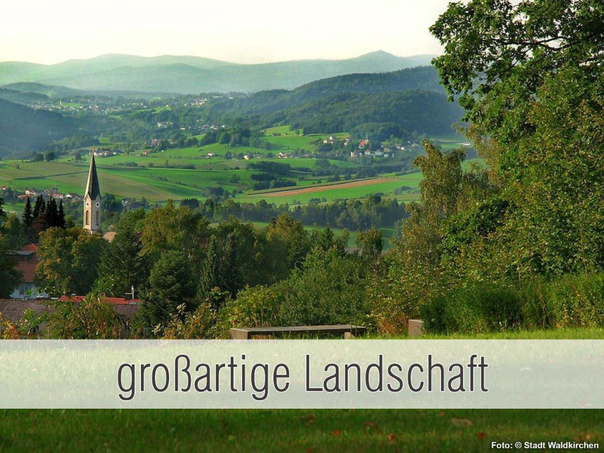 Huette41: Ganze Huette Nah Am See Mit Privatem Whirlpool, Sauna. Umzaeunt. Waldkirchen Exterior photo